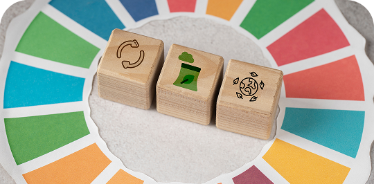 Elementos de economía circular y sostenibilidad sobre rueda de colores que representan los Objetivos de Desarrollo Sostenible.