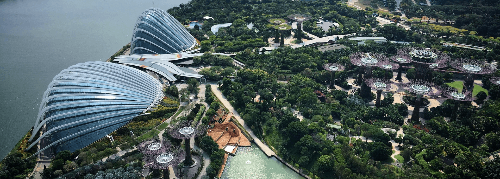Fotografía aérea de los jardines de la Bahía en Singapur